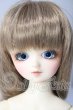 画像1: SDM/フルチョイスF-2 U-26-06-10-213-TN-ZU (1)