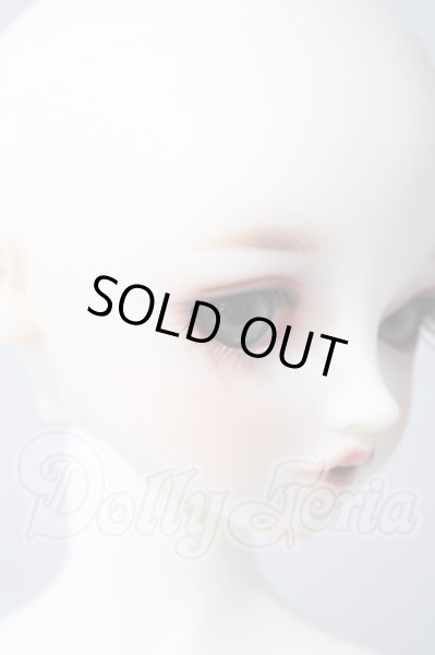画像3: SDGIRL/リーゼロッテ Galerie de l'esprit 2021 秋冬Ver. U-26-06-24-216-TN-ZU (3)