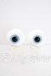 画像1: 16mm/グラスアイ U-26-07-29-108-TN-ZU (1)