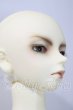 画像3: SD13BOY/荒夜　DP20限定 U-26-08-05-219-TN-ZU (3)