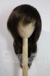 画像1: 9-10inch/ウィッグ U-26-08-05-003-TN-ZU (1)