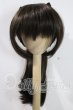 画像1: 9inch/DOLLCE製 ウィッグ U-26-08-12-098-TN-ZU (1)