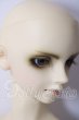 画像3: SD17BOY/レイズナーthe desire fo revenge U-26-08-19-219-TN-ZU (3)