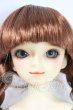 画像1: SDM/コーディネートF-24 U-26-08-26-212-TN-ZU (1)