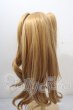 画像2: 9-10inch/ウィッグ U-26-09-09-080-TN-ZU (2)
