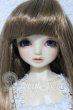 画像1: SDM男の子/コーディネートモデル:F-54 U-26-09-09-215-TN-ZU (1)