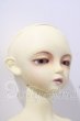 画像3: SDBOY/凌 U-26-09-16-210-TN-ZU (3)