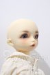 画像3: 幼SD/ダイ U-26-09-16-215-TN-ZU (3)