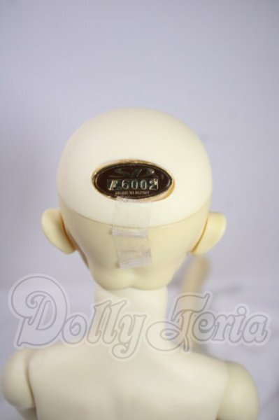 画像5: SD13BOY/フルチョイスF-30 U-26-09-30-215-TN-ZU (5)