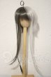 画像1: 8?9inch/ウィッグ：みさんとるーぷ様製ウルフロング U-26-10-07-084-TN-ZU (1)