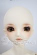 画像2: SDM/コーディネートモデル：F-33 U-26-10-07-217-TN-ZU (2)