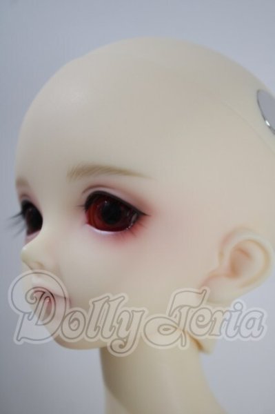 画像4: SDM/フルチョイス:F-33 U-26-10-07-216-TN-ZU (4)