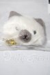 画像1: SD/OF:ねこバッグ(シャム) U-26-10-14-187-TN-ZU (1)