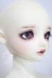 画像3: SDGIRL/リーゼロッテ Galerie de l'esprit 2021 秋冬Ver. U-26-10-21-219-TN-ZU (3)
