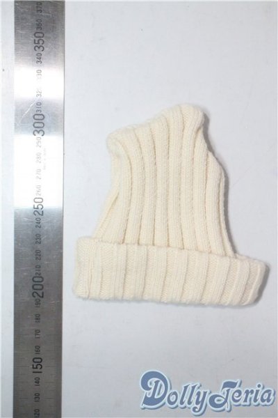 画像2: SD/OF:ニット帽(アイボリー):ALGER様製 U-25-08-05-096-GN-ZU (2)