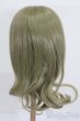 画像2: 8~9inch/ウィッグ:幻想アッシュ(W-168-T1109):VOLKS製 S-25-04-06-272-GN-ZS (2)
