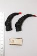 画像5: SD（1/3）/ディーラー様製ガラス角 S-25-04-27-323-KD-ZS (5)