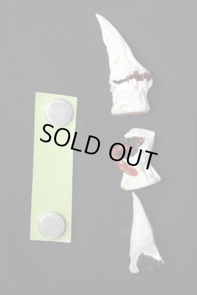 画像4: SD（1/3）/ディーラー様製ガラス角 S-25-10-05-341-KD-ZS (4)