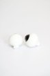 画像2: グラスアイ16MM【新品】 S-24-11-17-447-TN-ZS (2)