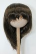 画像1: 8-9inch/ウィッグ S-25-03-04-308-KD-ZS (1)