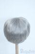 画像2: 8-9inch/ウィッグ(ショート/シルバー) Y-25-11-26-110-GN-ZY (2)