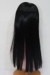 画像3: ウィッグ/7-8inch(インナーピンク/ストレートロング) S-25-04-13-332-GN-ZS (3)