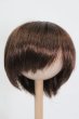 画像1: ウィッグ/8inch S-25-03-04-309-GN-ZS (1)