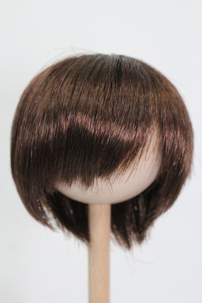 画像1: ウィッグ/8inch S-25-03-04-309-GN-ZS (1)