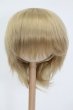 画像1: ウィッグ/9-10inch(ブロンド/ショート) S-25-04-13-385-GN-ZS (1)