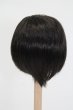 画像2: ウィッグ/6-7inch S-25-02-18-388-GN-ZS (2)