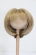 画像1: ウィッグ/6-7inch S-25-05-11-366-GN-ZS (1)