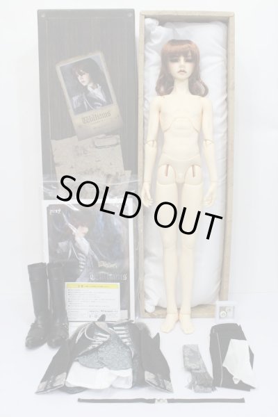 画像5: SD17BOY/ウィリアムズ:Commodore ver. S-24-10-09-032-GN-ZS (5)