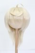 画像1: ウィッグ/8.5inch:Medium Cowlick:MSireDoll製 S-25-03-30-411-GN-ZS (1)