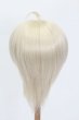 画像3: ウィッグ/8.5inch:Medium Cowlick:MSireDoll製 S-25-03-30-411-GN-ZS (3)