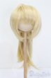 画像1: ウィッグ/8-9inch S-25-03-23-311-GN-ZS (1)