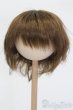 画像1: ウィッグ/9-10inch S-25-03-04-312-GN-ZS (1)