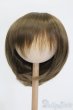 画像1: ウィッグ/9-10inch S-25-04-13-388-GN-ZS (1)