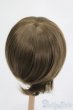画像2: ウィッグ/9-10inch S-25-04-13-388-GN-ZS (2)