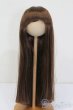 画像1: ウィッグ/9-10inch S-25-03-23-369-GN-ZS (1)