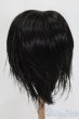 画像2: ウィッグ/9-10inch S-25-01-26-470-GN-ZS (2)