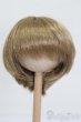画像1: ウィッグ/7-8inch S-25-03-04-348-GN-ZS (1)