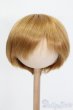 画像1: ウィッグ/9-10inch S-25-03-04-328-GN-ZS (1)