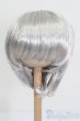 画像1: ウィッグ/7-8inch S-25-05-11-375-GN-ZS (1)