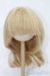画像1: ウィッグ/8-9inch S-25-03-04-338-GN-ZS (1)