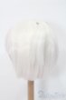 画像2: ウィッグ/8-9inch S-25-03-23-314-GN-ZS (2)
