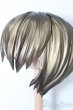 画像2: レジンウィッグ/9inch S-25-04-13-459-GN-ZS (2)