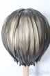 画像3: レジンウィッグ/9inch S-25-04-13-459-GN-ZS (3)