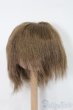 画像1: ウィッグ/7inch S-25-01-05-469-GN-ZS (1)
