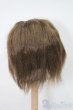 画像2: ウィッグ/7inch S-25-01-05-469-GN-ZS (2)