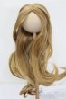 画像1: ウィッグ/9inch S-25-03-23-390-GN-ZS (1)